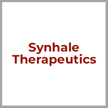 synhale+final